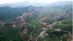 圖片關鍵詞 圖片關鍵詞